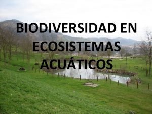 BIODIVERSIDAD EN ECOSISTEMAS ACUTICOS Que es un ecosistema
