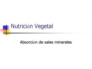 Nutricin Vegetal Absorcin de sales minerales Absorcin Adsorcin