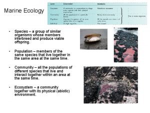 Marine ecology