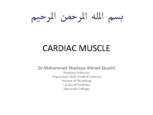 CARDIAC MUSCLE Dr Mohammed Sharique Ahmed Quadri Assistant