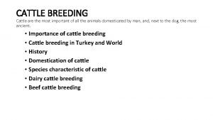 CATTLE BREEDING Cattle are the most important of