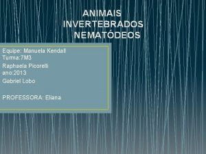 ANIMAIS INVERTEBRADOS NEMATDEOS Equipe Manuela Kendall Turma 7