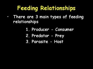What are the 3 main types of feeding relationships
