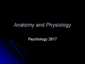 Anatomy and Physiology Psychology 2617 Introduction Anatomy vs