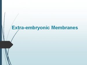Extraembryonic membrane