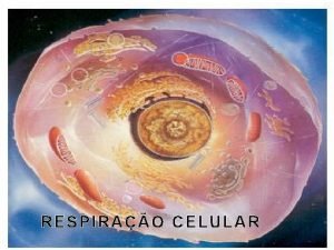 RESPIRAO CELULAR BIOSSNTESE CONSTRUO CONSUMO DE ATP DEGRADAO