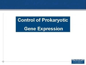 Control of Prokaryotic Gene Expression Prokaryotic Regulation of