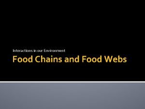 Food web def