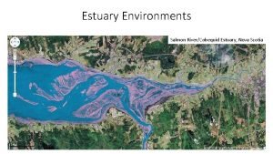 Estuary Environments Salmon RiverCobequid Estuary Nova Scotia Estuary Estuary Environments Salmon RiverCobequid Estuary Nova Scotia Estuary