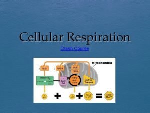 Cellular Respiration Crash Course Define cellular respiration Cell