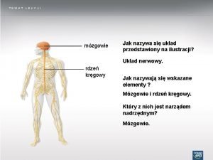 TEMAT LEKCJI mzgowie Jak nazywa si ukad przedstawiony