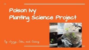 Poison Ivy Planting Science Project By Izzy Ella