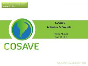 28 Th Technical Consultation among RPPOss COSAVE Activities