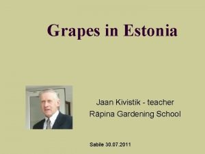 Grapes in Estonia Jaan Kivistik teacher Rpina Gardening