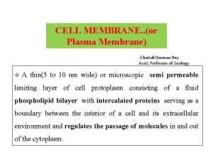 CELL MEMBRANE or Plasma Membrane Chaitali Barman Ray