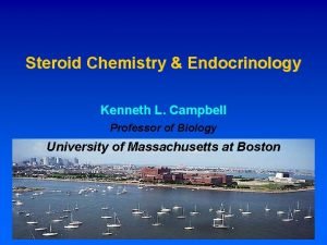 Steroid Chemistry Endocrinology Kenneth L Campbell Professor of