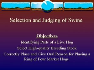 Selection and Judging of Swine Objectives Identifying Parts