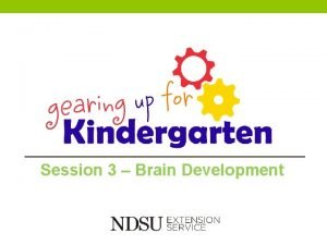 Session 3 Brain Development Cognitive Development Thinking and