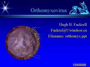 1 Orthomyxovirus Hugh B Fackrell FackrelUwindsor ca Filename