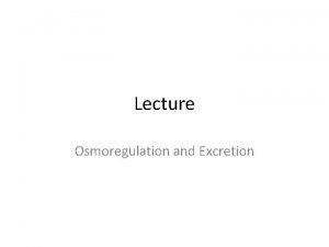 Osmoregulation