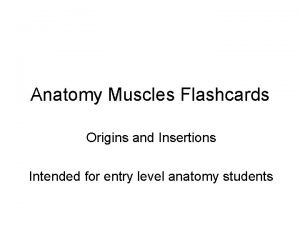 Muscle origin and insertion flashcards with pictures