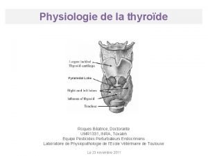 Physiologie de la thyrode Roques Batrice Doctorante UMR