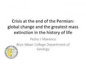Crisis at the end of the Permian global