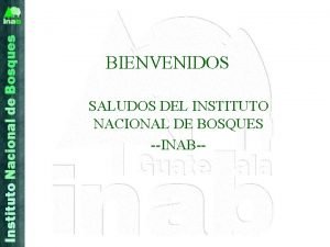 Instituto nacional de bosques