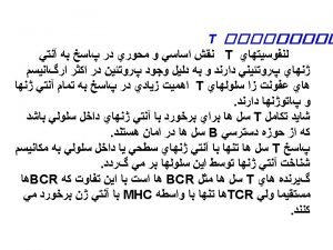 The TCR heterodimer comprises two transmembrane glycoproteins the