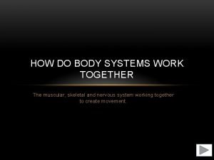 HOW DO BODY SYSTEMS WORK TOGETHER The muscular