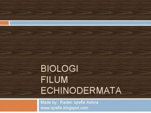 BIOLOGI FILUM ECHINODERMATA Made by Raden Iqrafia Ashna