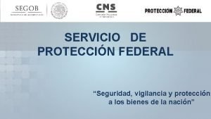 SERVICIO DE PROTECCIN FEDERAL Seguridad vigilancia y proteccin