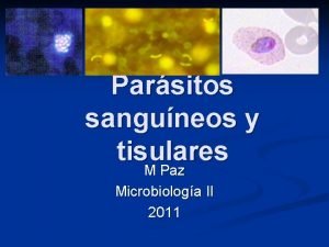 Parsitos sanguneos y tisulares M Paz Microbiologa II
