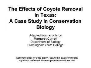 Coyote removal case study answers