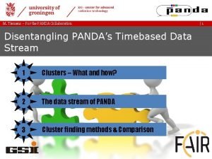 M Tiemens For the PANDA Collaboration Disentangling PANDAs