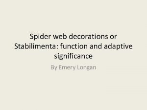 Spider web decorations or Stabilimenta function and adaptive