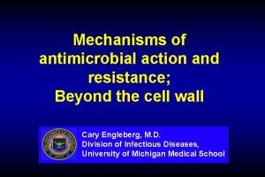 Mechanisms of antimicrobial action and resistance Beyond the