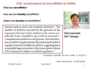 V 16 involvement of micro RNAs in GRNs