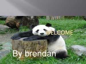WELCOME By brendan Pandas fact There around 1