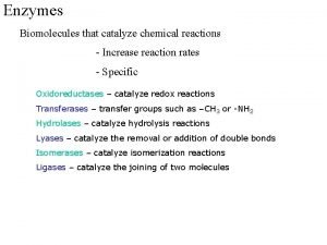 Enzymes Biomolecules that catalyze chemical reactions Increase reaction