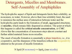 Detergents Micelles and Membranes SelfAssembly of Amphiphiles The