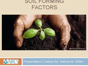 Factors of soil formation