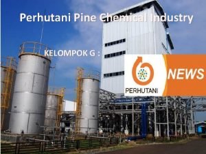 Pine chemical industry