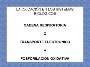 Oxidacin