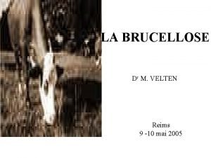 LA BRUCELLOSE Dr M VELTEN Reims 9 10