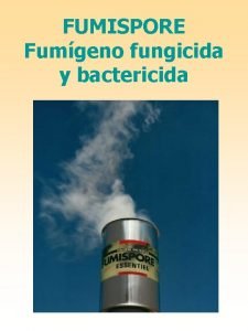 FUMISPORE Fumgeno fungicida y bactericida QUE ES UNA
