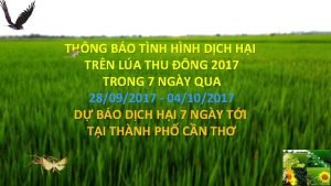 THNG BO TNH HNH DCH HI TRN LA