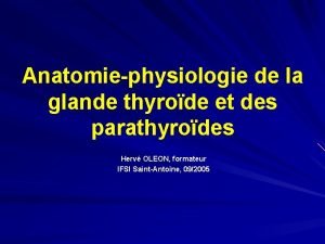 Anatomiephysiologie de la glande thyrode et des parathyrodes