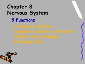 5 functions of the nervous system