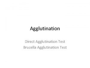 Agglutination Direct Agglutination Test Brucella Agglutination Test Agglutination